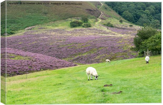Heather in the Yorkshire dales Canvas Print by Jo Sowden