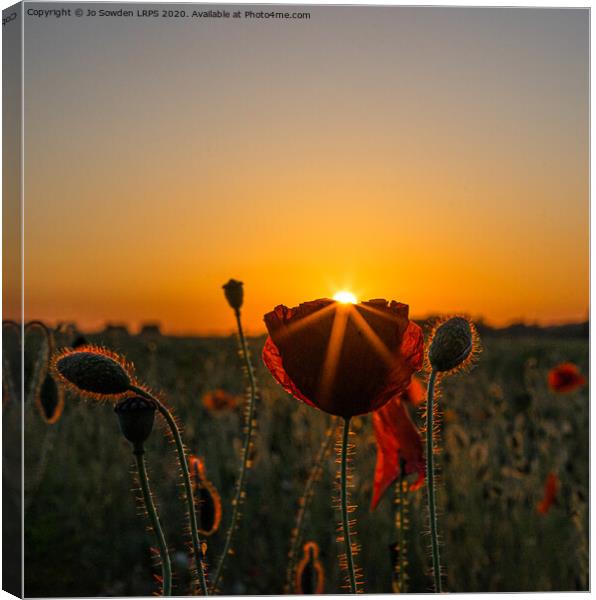 Poppy at Sunset Canvas Print by Jo Sowden