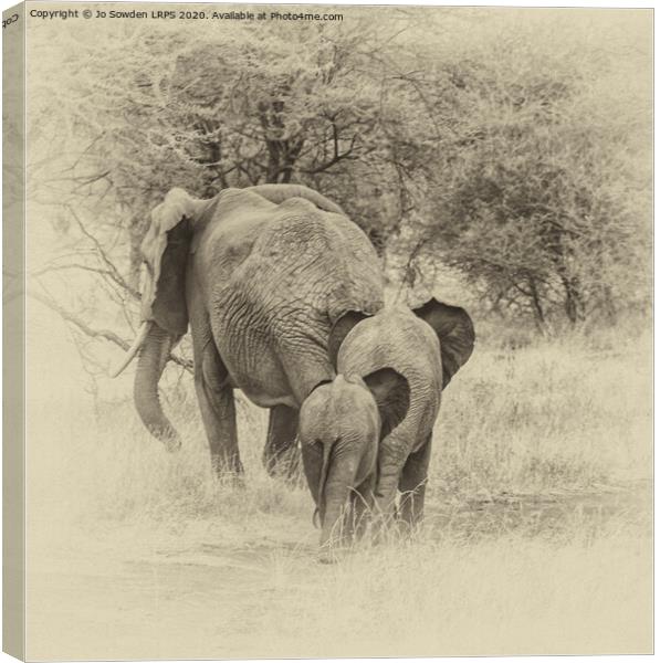 Elephant Family walking away, Serengeti  Canvas Print by Jo Sowden