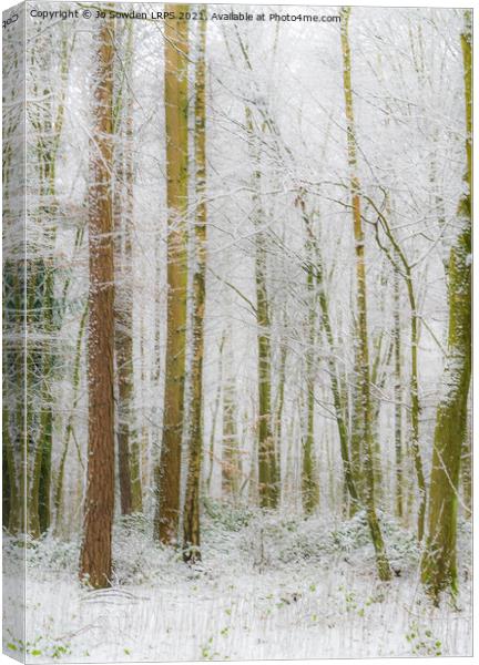 Snowy Woodland, Hertfordshire Canvas Print by Jo Sowden