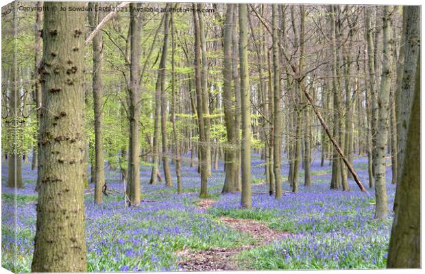 Path through the bluebells Canvas Print by Jo Sowden