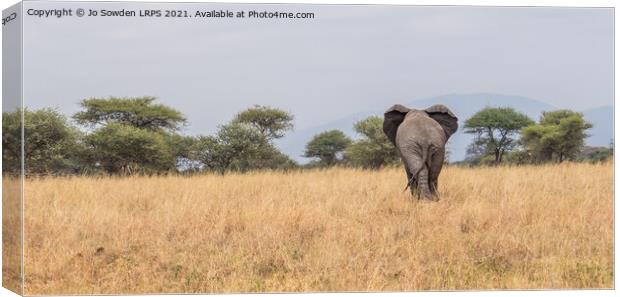 Elephant walking away Canvas Print by Jo Sowden