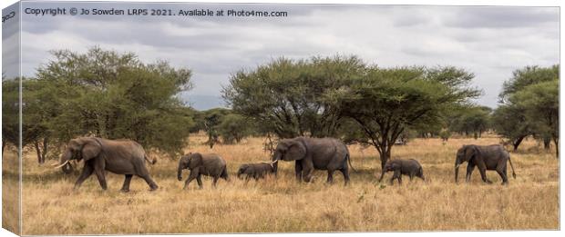 Follow the leader Canvas Print by Jo Sowden