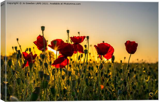 Poppies at Sunset Canvas Print by Jo Sowden