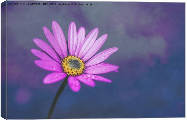 After the rain Canvas Print by Jo Sowden