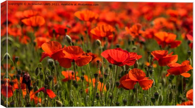 Field or Poppies Canvas Print by Jo Sowden