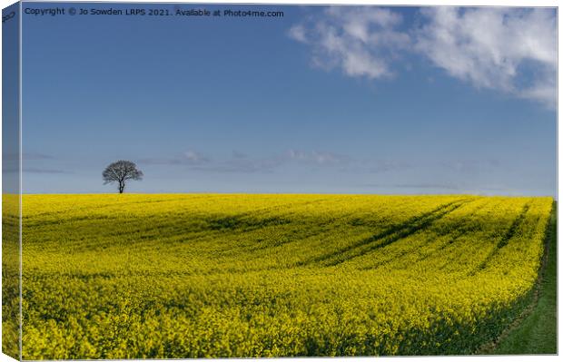 Rapeseed Field, Hertfordshire Canvas Print by Jo Sowden