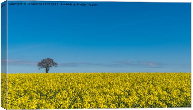 Rapeseed in the sun Canvas Print by Jo Sowden