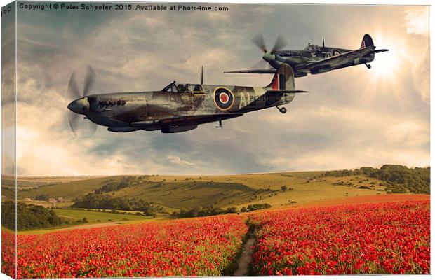  Spitfire over poppiefield Canvas Print by Peter Scheelen