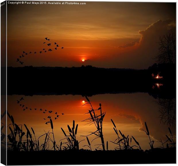  Fishing Canvas Print by Paul Mays