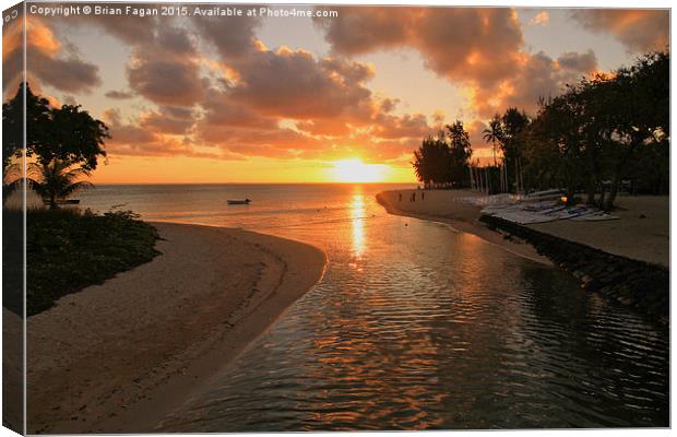  Mauritian  Sunset Canvas Print by Brian Fagan