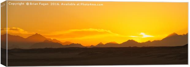 Egyptian sunset Canvas Print by Brian Fagan