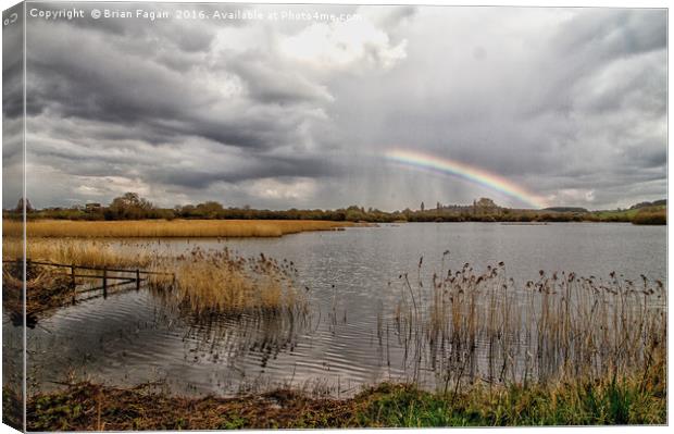 Rainbow over the water Canvas Print by Brian Fagan