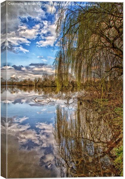 Willow reflection Canvas Print by Brian Fagan