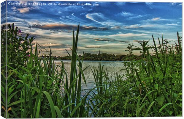 View from the reeds Canvas Print by Brian Fagan