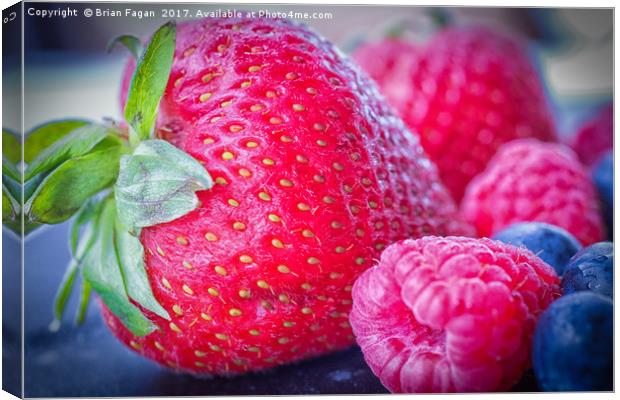 Strawberry delight Canvas Print by Brian Fagan