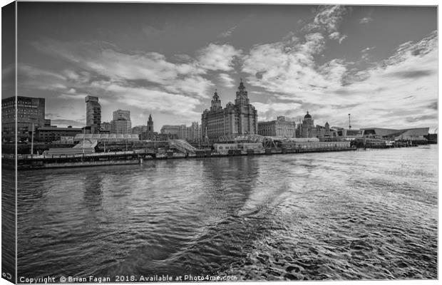 The Liver building Canvas Print by Brian Fagan