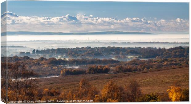 Mist over Sussex Weald Canvas Print by Craig Williams