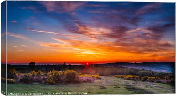 Sunset over Ashdown Forest Canvas Print by Craig Williams
