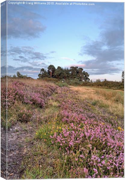  Camp Hill Path Canvas Print by Craig Williams