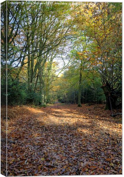  Path through 100 Aker Wood Canvas Print by Craig Williams