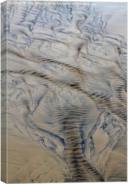  The Burn Runs to the Sea Canvas Print by Craig Williams