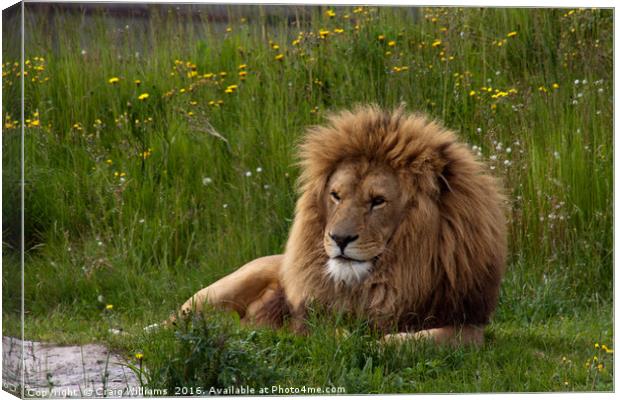 The King of all he surveys Canvas Print by Craig Williams