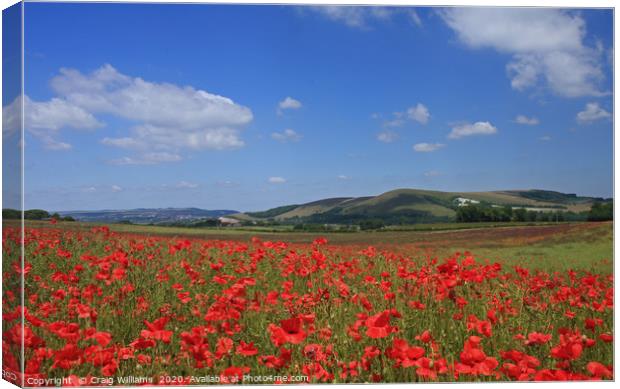 Poppy Field nr.. Lewes, Sussex Canvas Print by Craig Williams