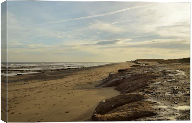 Kilnsea  Canvas Print by Dave Leason