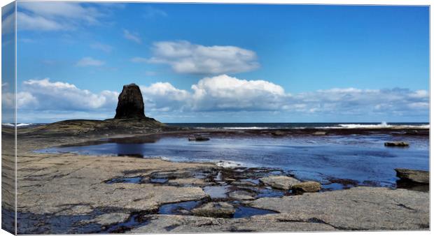 Black Nab, Saltwick Bay Canvas Print by Dave Leason