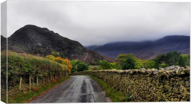 Crummock Water  Canvas Print by Dave Leason