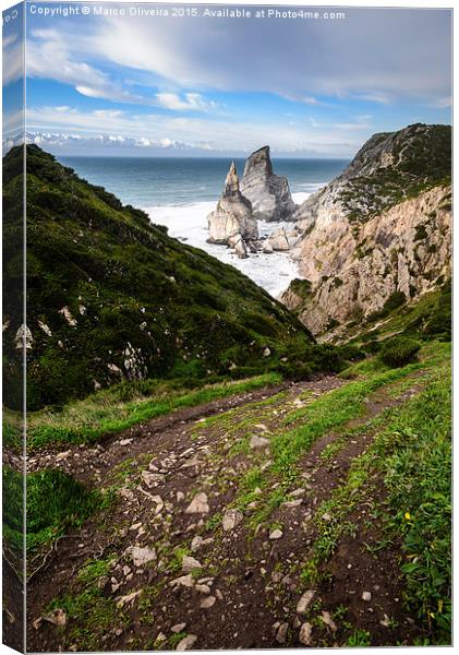 Bear's Beach II Canvas Print by Marco Oliveira