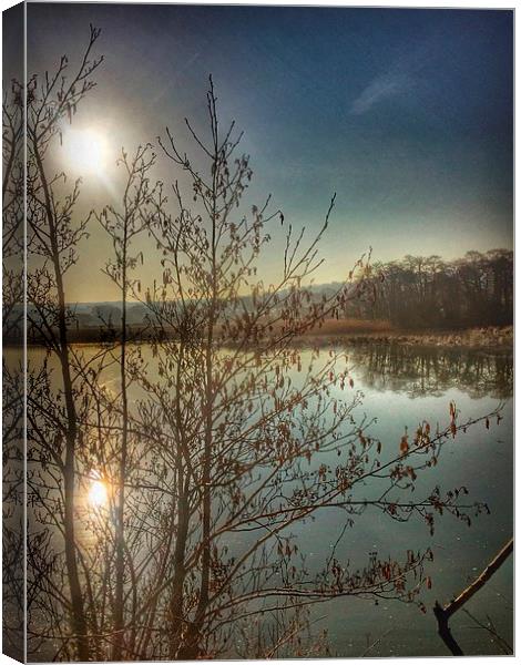  Reflections at sunrise Canvas Print by Elaine Turpin
