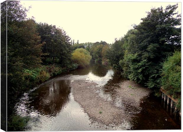  The River Eden running through Carlisle Canvas Print by stephen lang