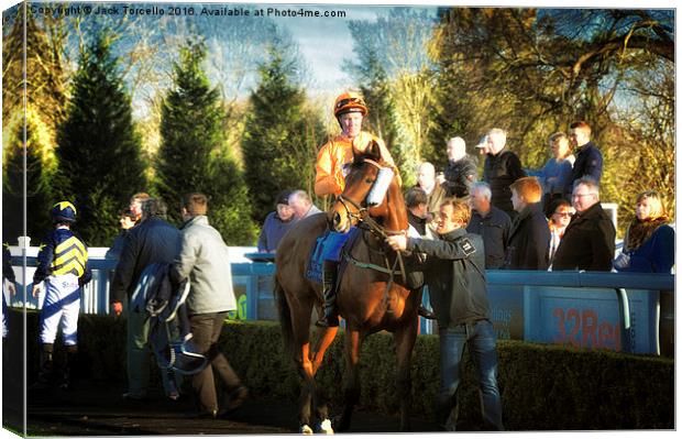  Pre-race - the Parade Ring at Lingfield Canvas Print by Jack Torcello