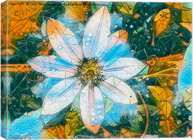 Bejewelled Clematis IV Canvas Print by Jack Torcello
