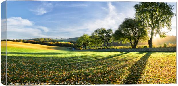Backlit autumn trees Canvas Print by Adrian Brockwell