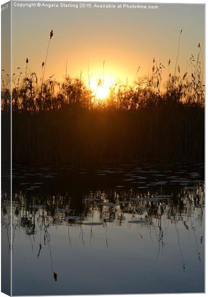  Okavango Delta Sunset Canvas Print by Angela Starling