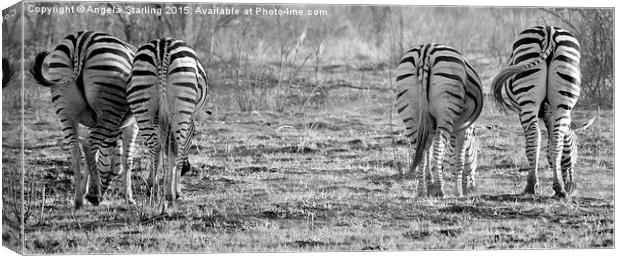  Zebras bums. Canvas Print by Angela Starling