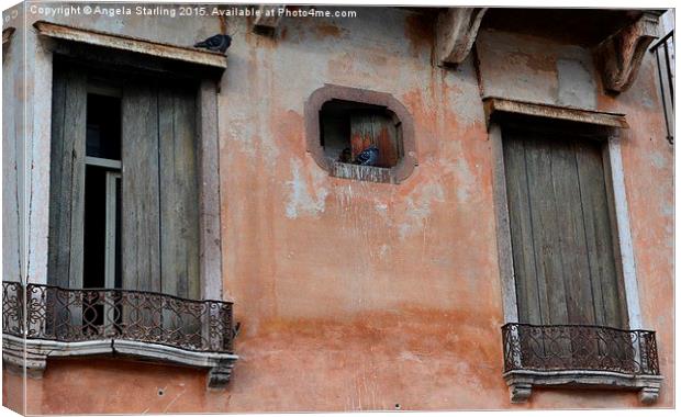  Pigeons relaxing in Bassano Del Grappa in Italy. Canvas Print by Angela Starling