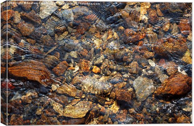  Stones in a Stream Canvas Print by Andrew Turpin