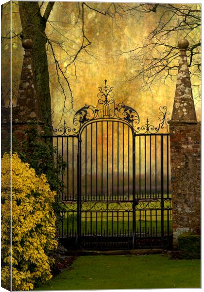  Iron Gate Canvas Print by Svetlana Sewell