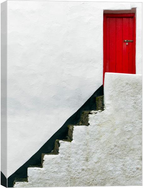  Red Door Canvas Print by Svetlana Sewell