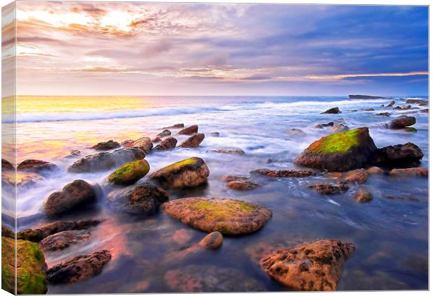  Filey Brigg Canvas Print by Svetlana Sewell