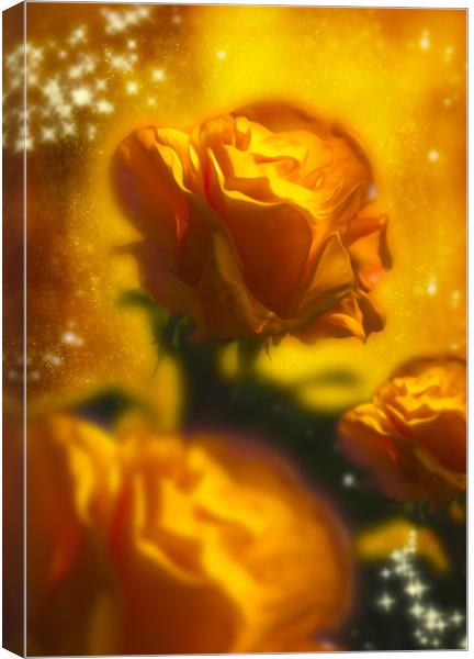  Golden Roses Canvas Print by Svetlana Sewell