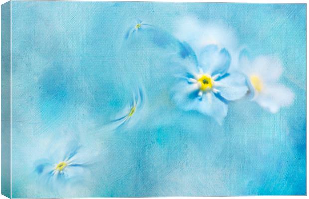  Splash of blue Canvas Print by Svetlana Sewell