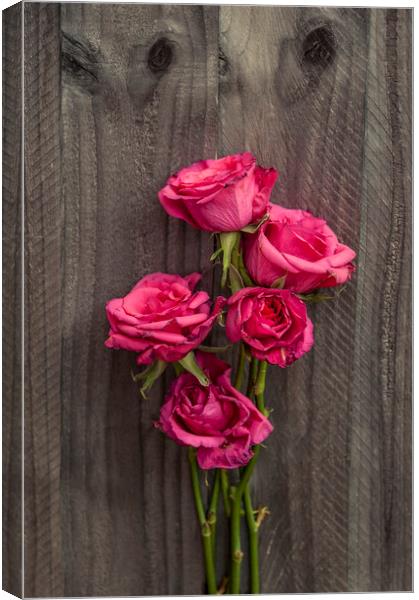  Bouquet of Roses Canvas Print by Svetlana Sewell