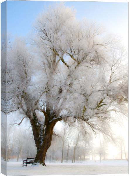  Winter Tree Canvas Print by Svetlana Sewell