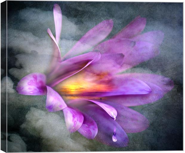 Flower Spirit Canvas Print by Svetlana Sewell