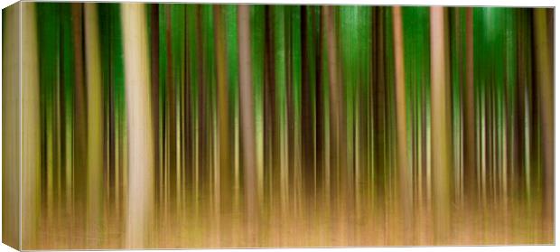  Abstract Forest Canvas Print by Svetlana Sewell